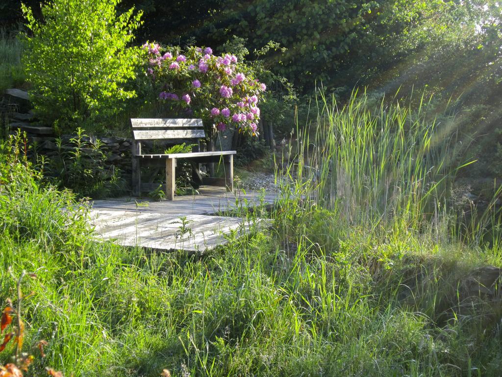 Het Groene Huis Montjoie Extérieur photo